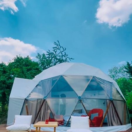 Phalesia Glamping Otel サパンジャ エクステリア 写真