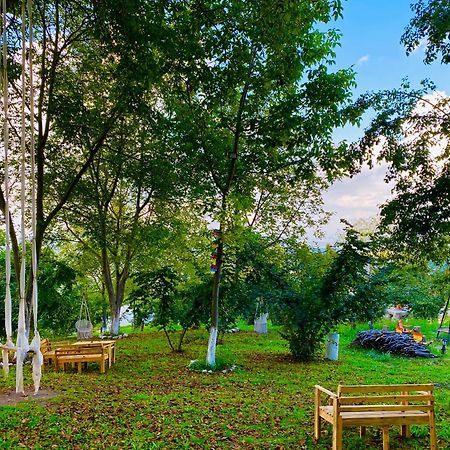 Phalesia Glamping Otel サパンジャ エクステリア 写真