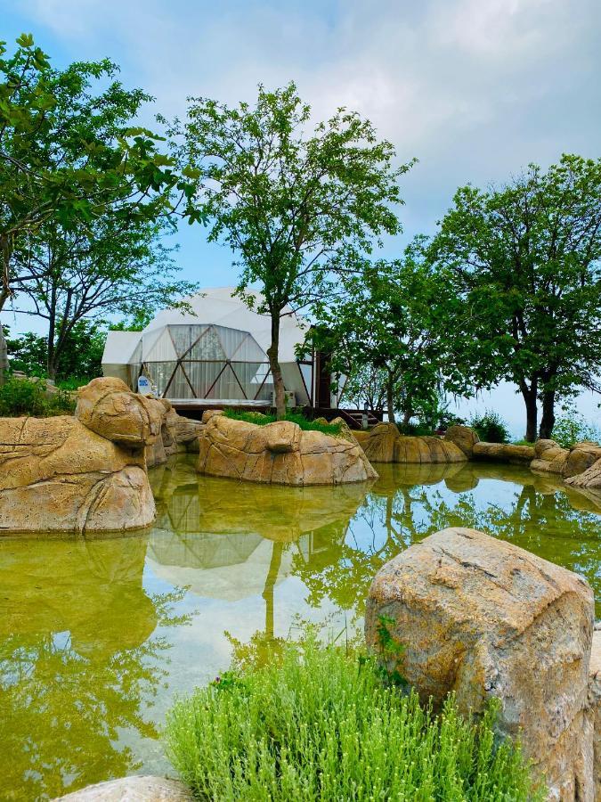 Phalesia Glamping Otel サパンジャ エクステリア 写真