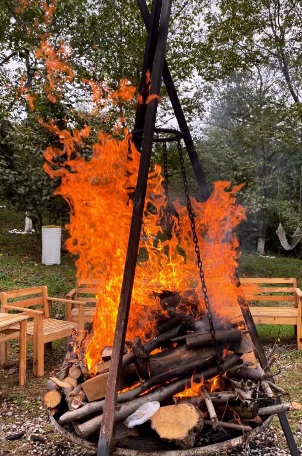 Phalesia Glamping Otel サパンジャ エクステリア 写真