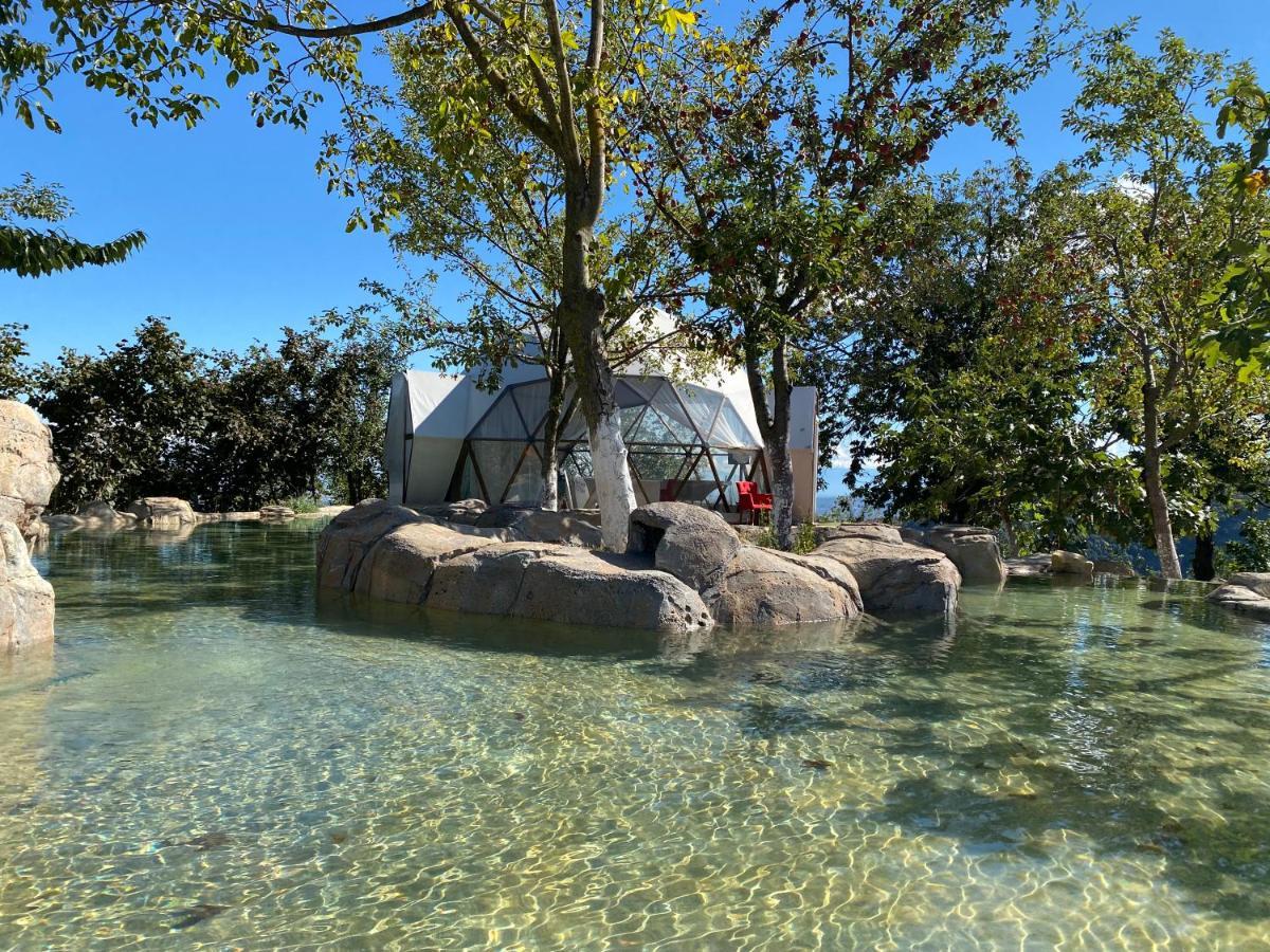 Phalesia Glamping Otel サパンジャ エクステリア 写真