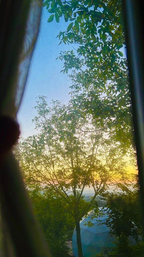 Phalesia Glamping Otel サパンジャ エクステリア 写真