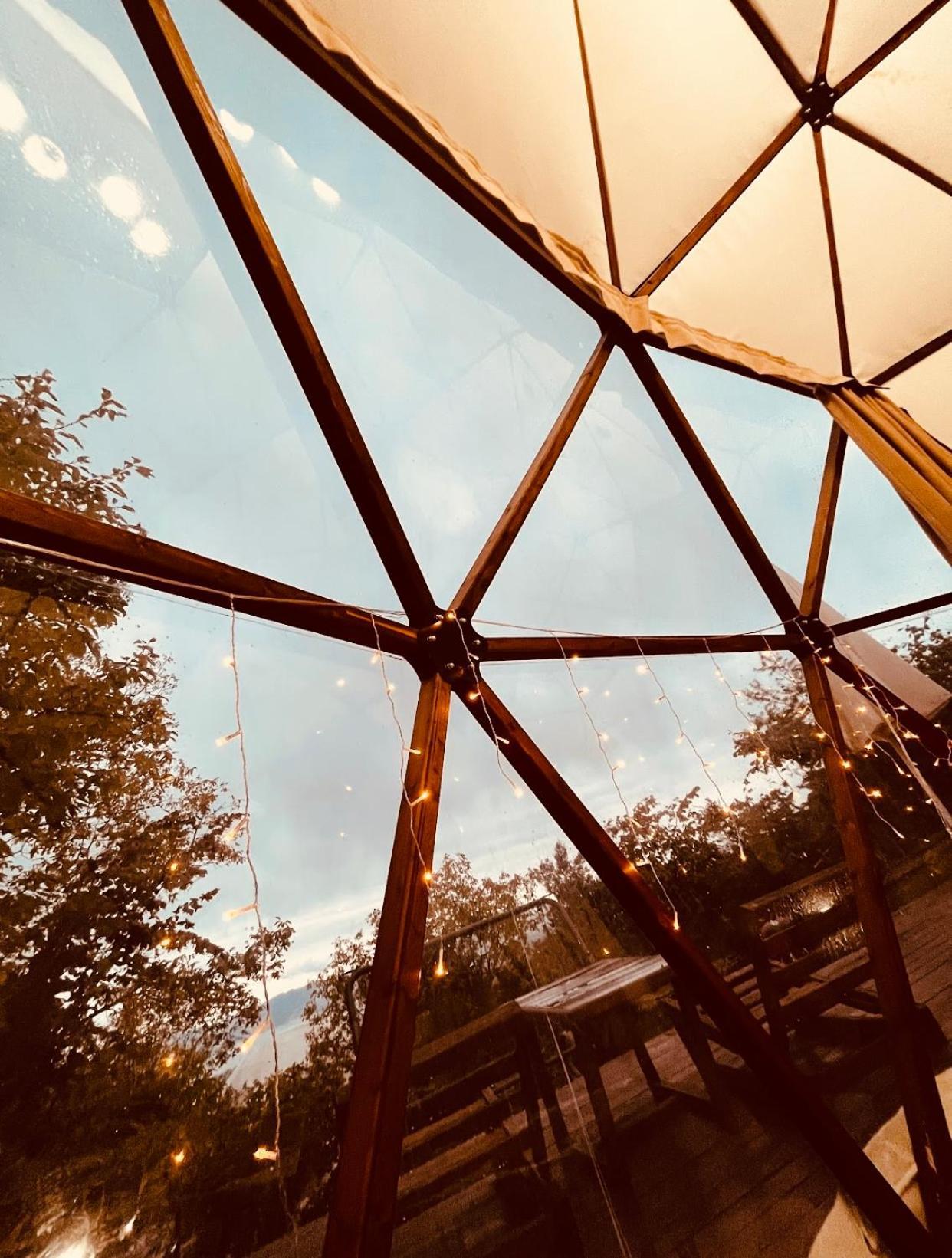 Phalesia Glamping Otel サパンジャ エクステリア 写真