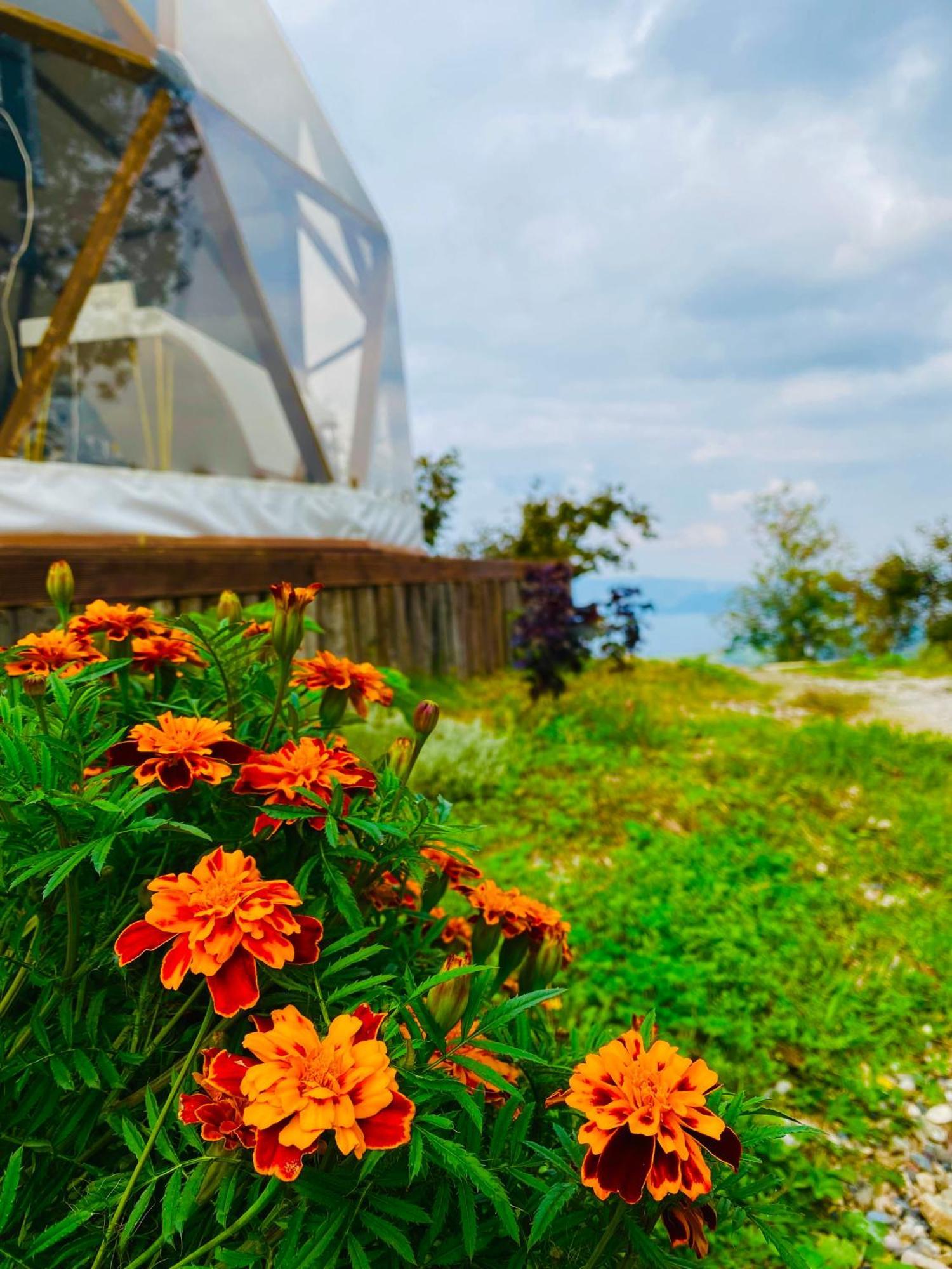 Phalesia Glamping Otel サパンジャ エクステリア 写真
