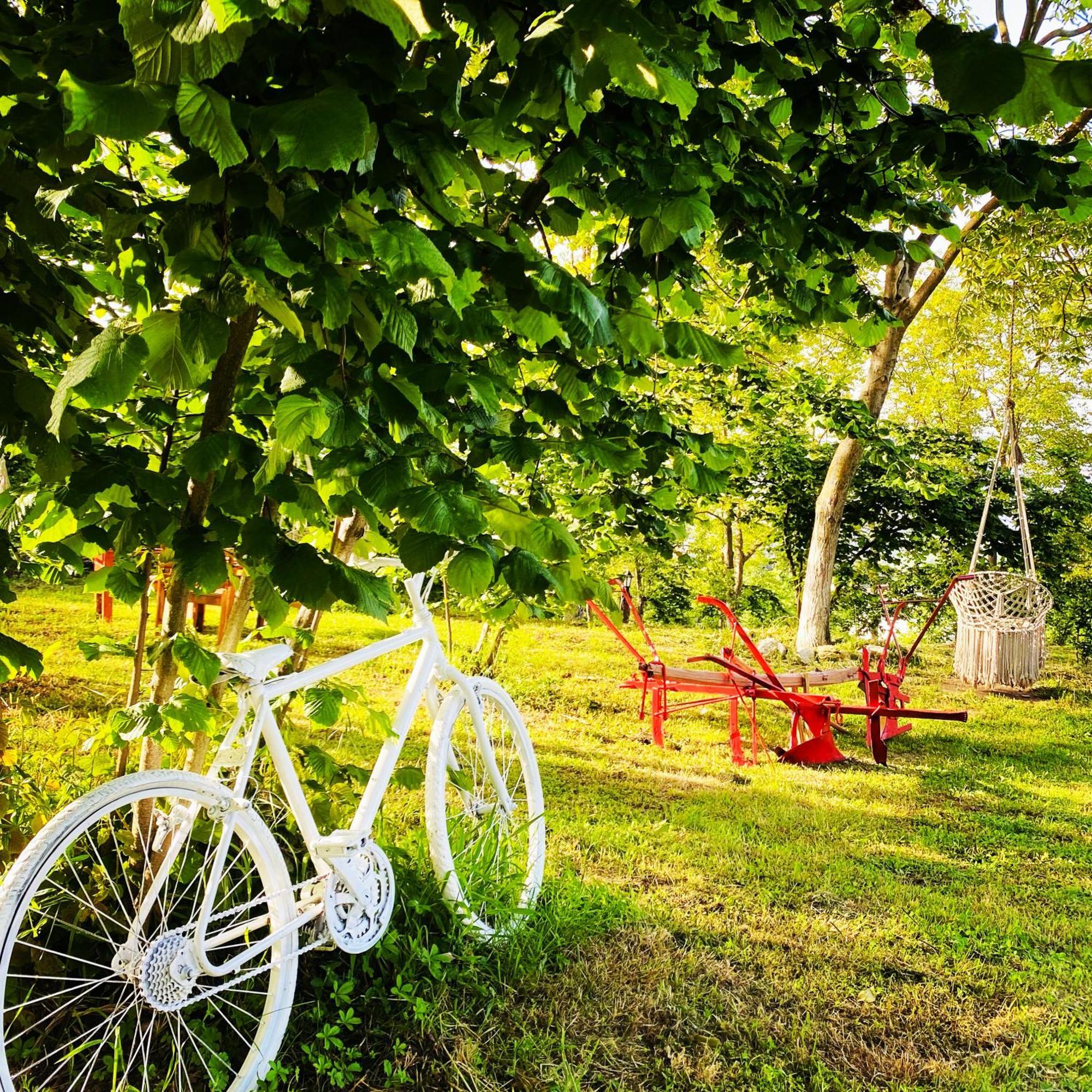 Phalesia Glamping Otel サパンジャ エクステリア 写真